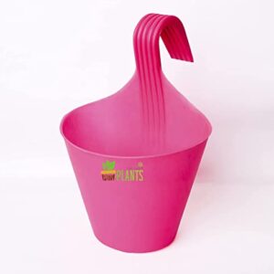 POTS and Plants Plastic Flower Pots, Multicolour, 9.5 Inches, Pack of 1 (DSC_0612)