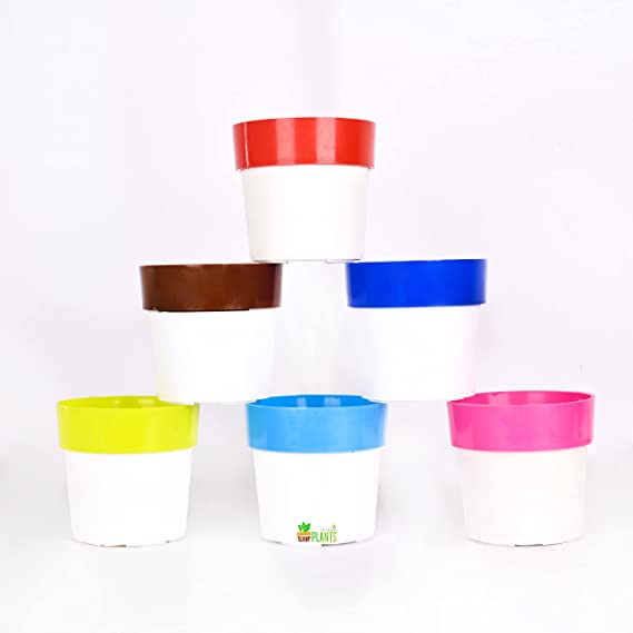 POTS AND PLANTS Cone Pot Beautiful Planter for Indoor and Outdoor Plants - Plastic Planters Arty Table Top Decorative Gardening Pot for Living Room, Home & Office Decoration (Set of 4, Multi Color),Virgin Plastic -6inches