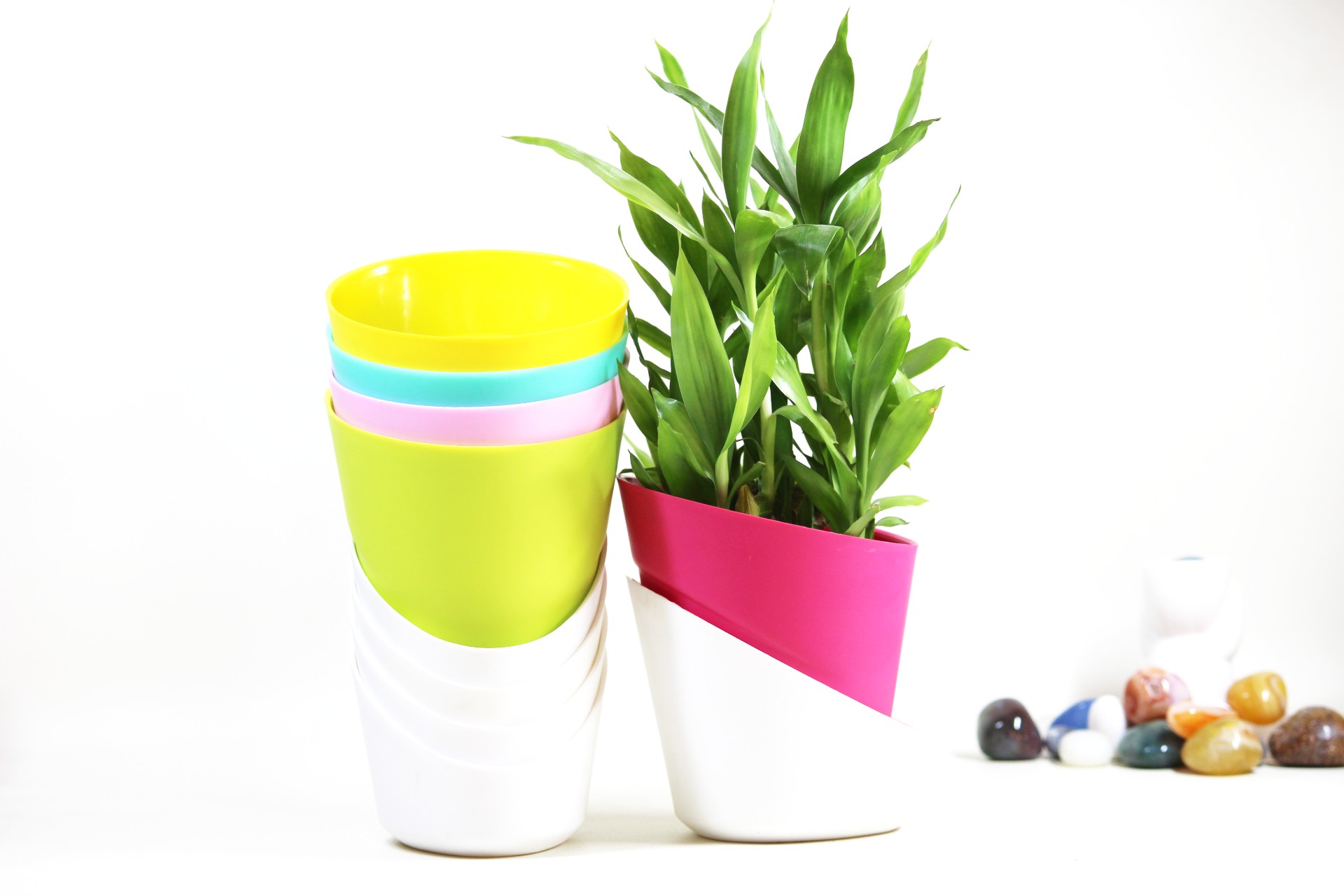 Self Watering Round Plastic Indoor Flower Planter Pot for Living Room, Tabletop, Desk Decor (5 Inch, Set of 5)